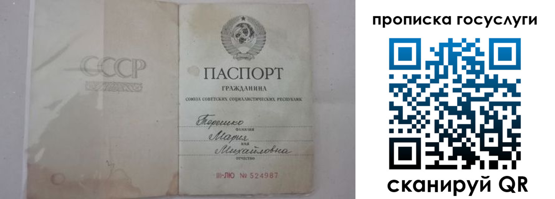 прописка ребенка в Снежногорске